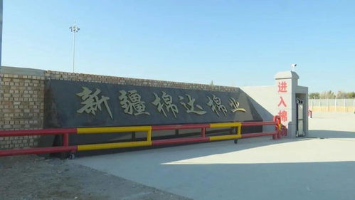 八十三團(tuán)棉達(dá)棉花加工廠投入試運(yùn)行，銀河棉業(yè)助力區(qū)域棉花產(chǎn)業(yè)升級(jí)